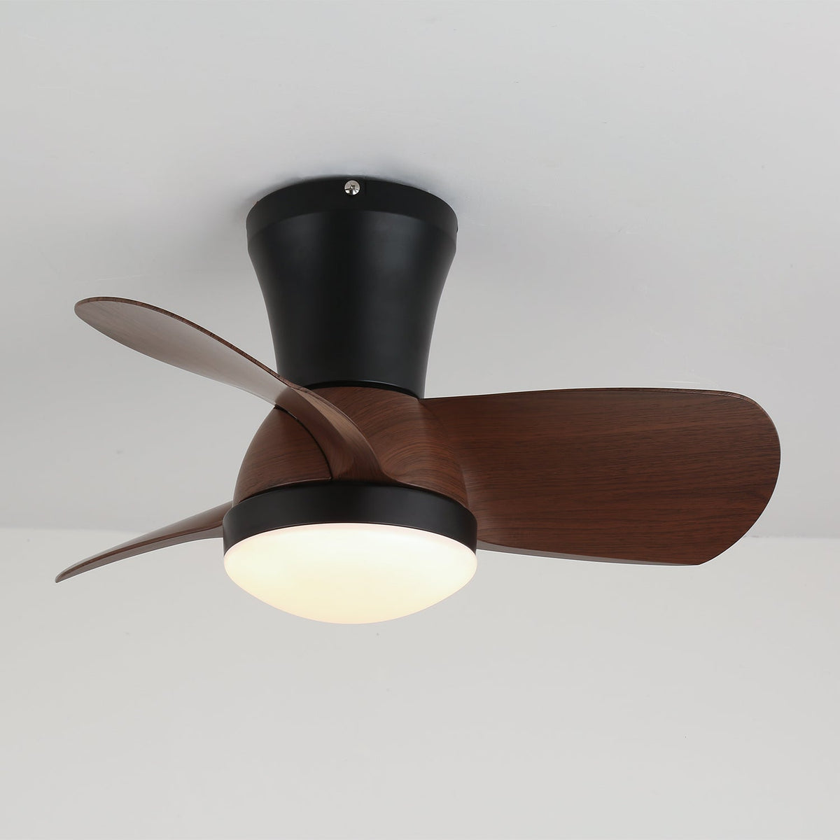 Miro Ceiling Fan Light
