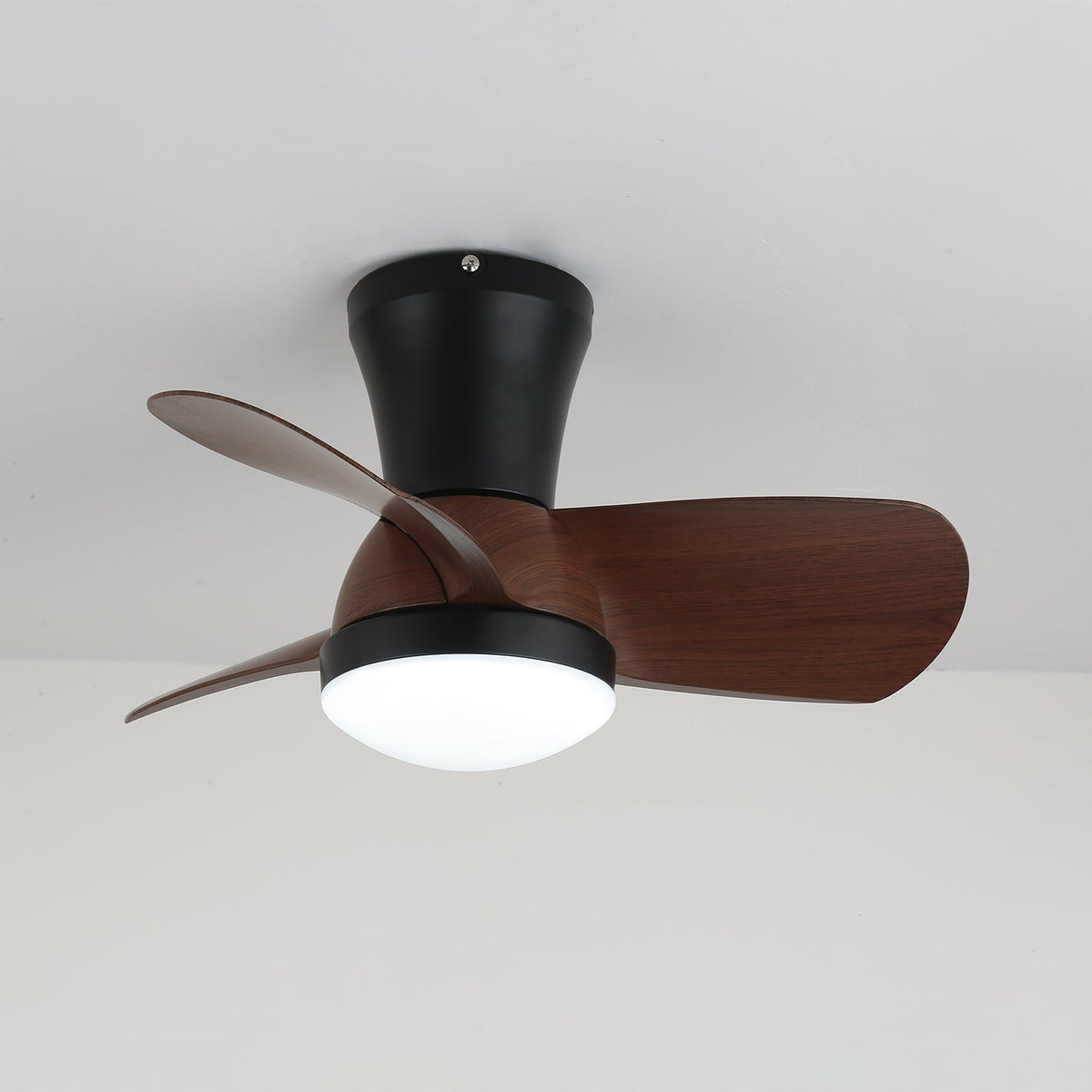 Miro Ceiling Fan Light