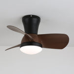 Miro Ceiling Fan Light