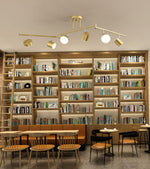 Track Light Ceiling Light