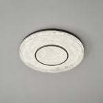 Mysterious Circle Ceiling Lamp