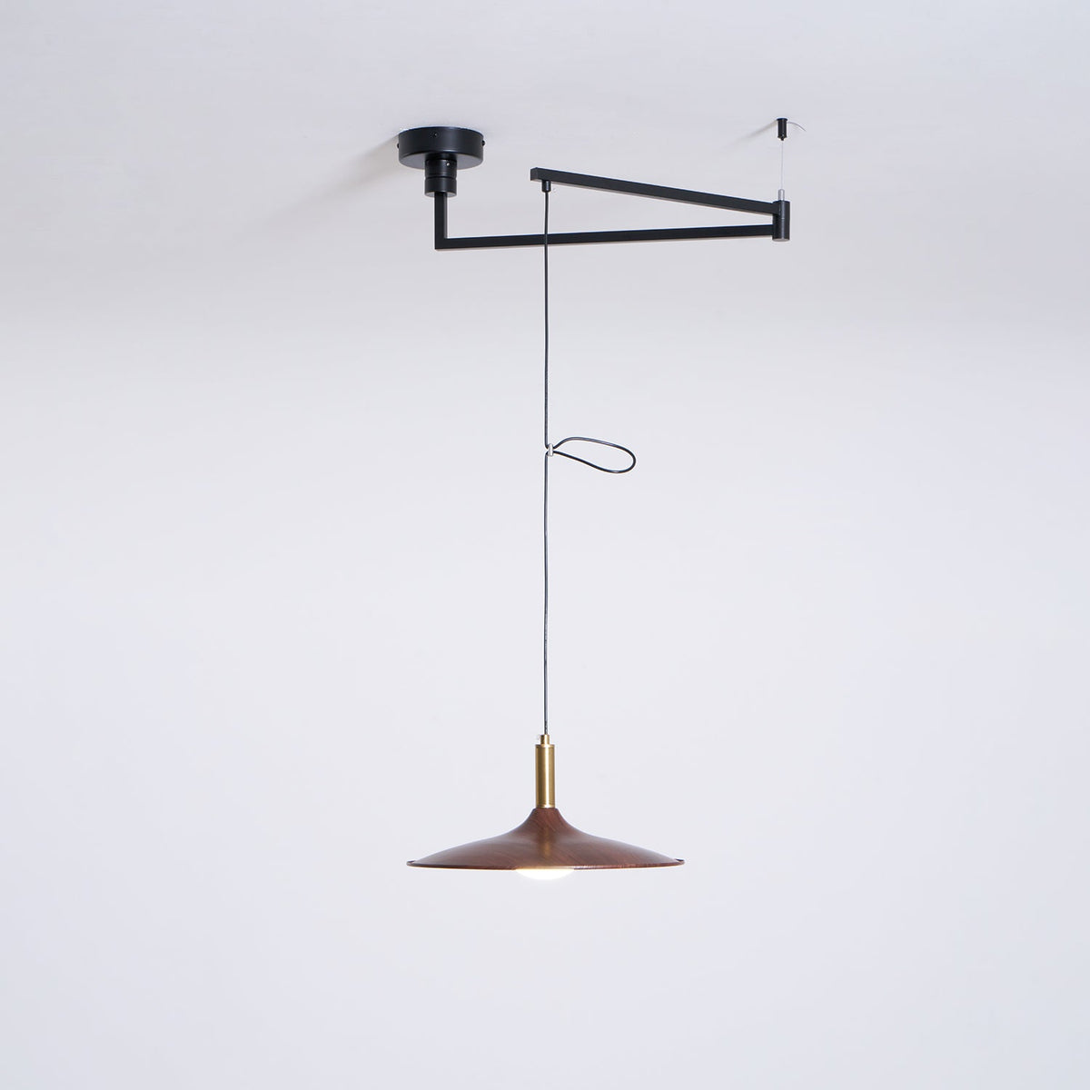 Crane Swing Arm Pendant Lamp