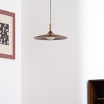 Crane Swing Arm Pendant Lamp