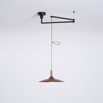 Crane Swing Arm Pendant Lamp