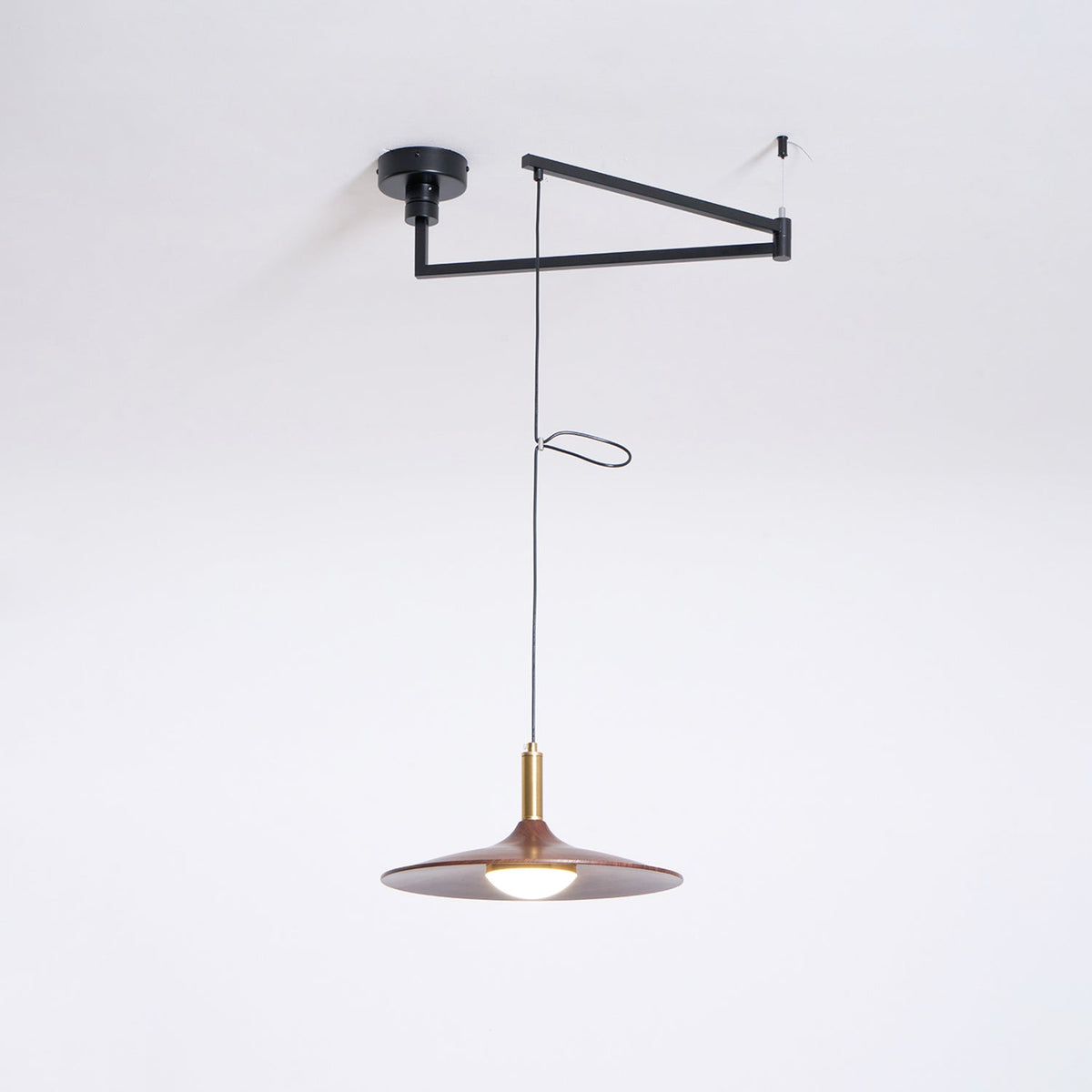 Crane Swing Arm Pendant Lamp