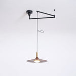 Crane Swing Arm Pendant Lamp