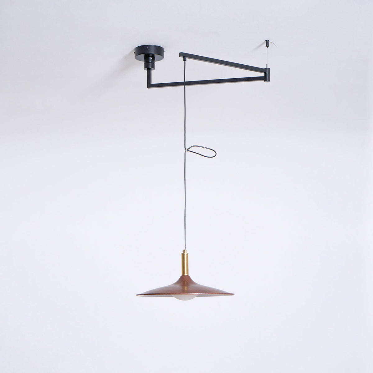 Crane Swing Arm Pendant Lamp