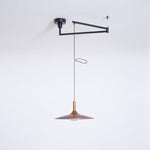 Crane Swing Arm Pendant Lamp