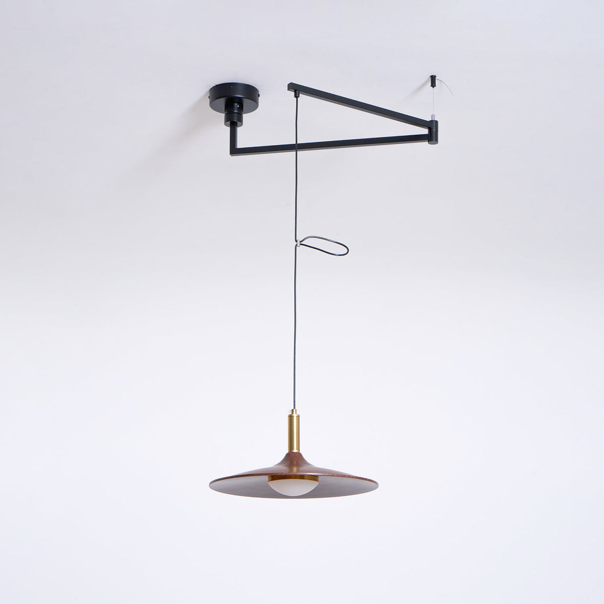 Crane Swing Arm Pendant Lamp