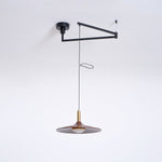 Crane Swing Arm Pendant Lamp