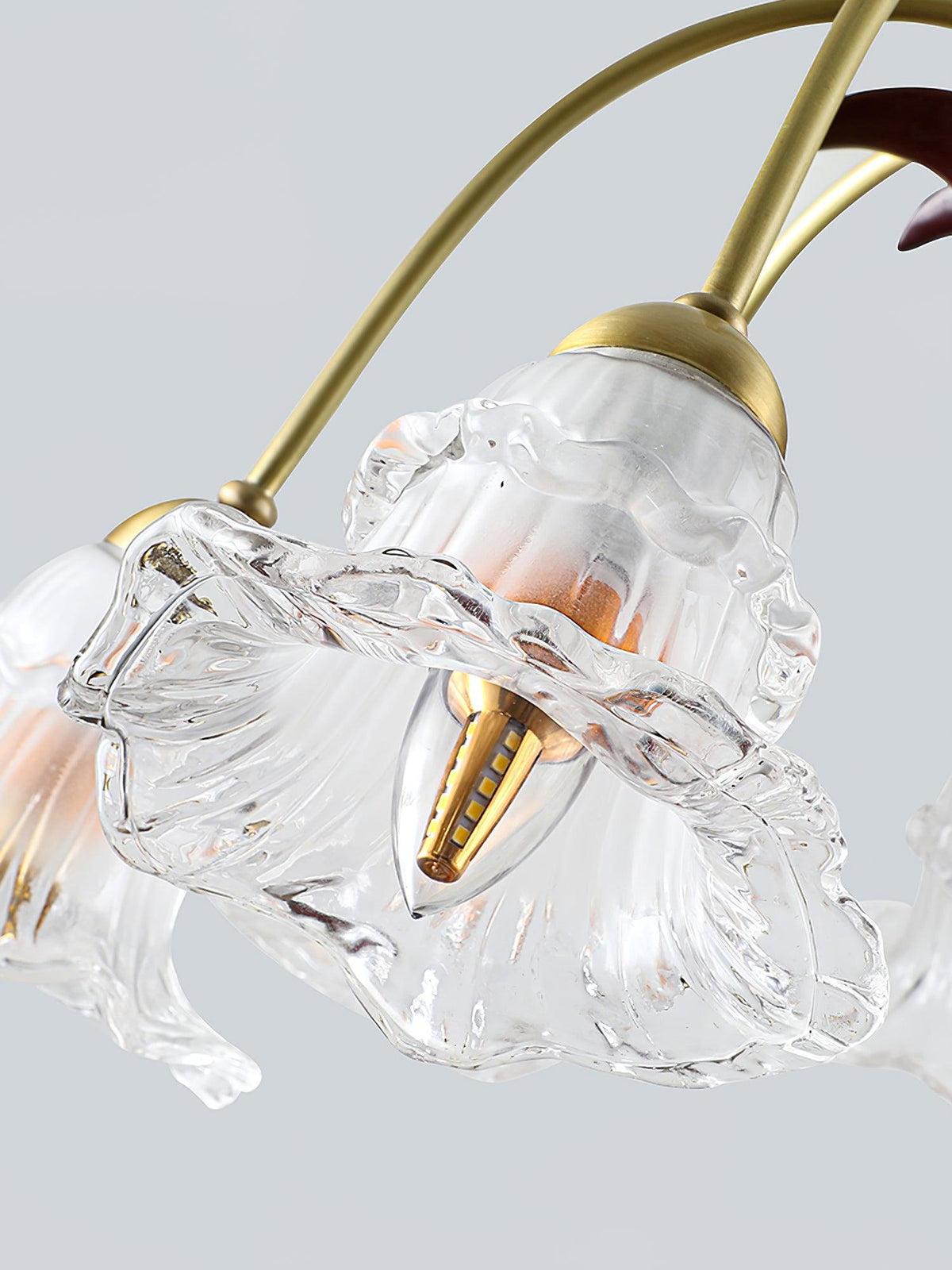 Narcissus Glass Chandelier