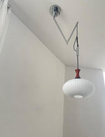 Nelson Suspend 11.8"