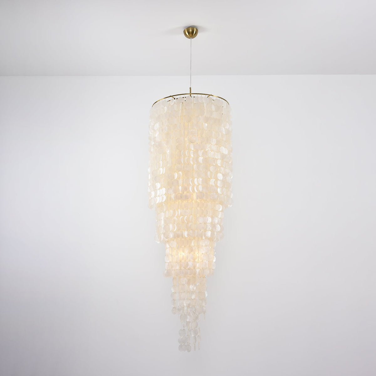 Nerida Shell Chandelier