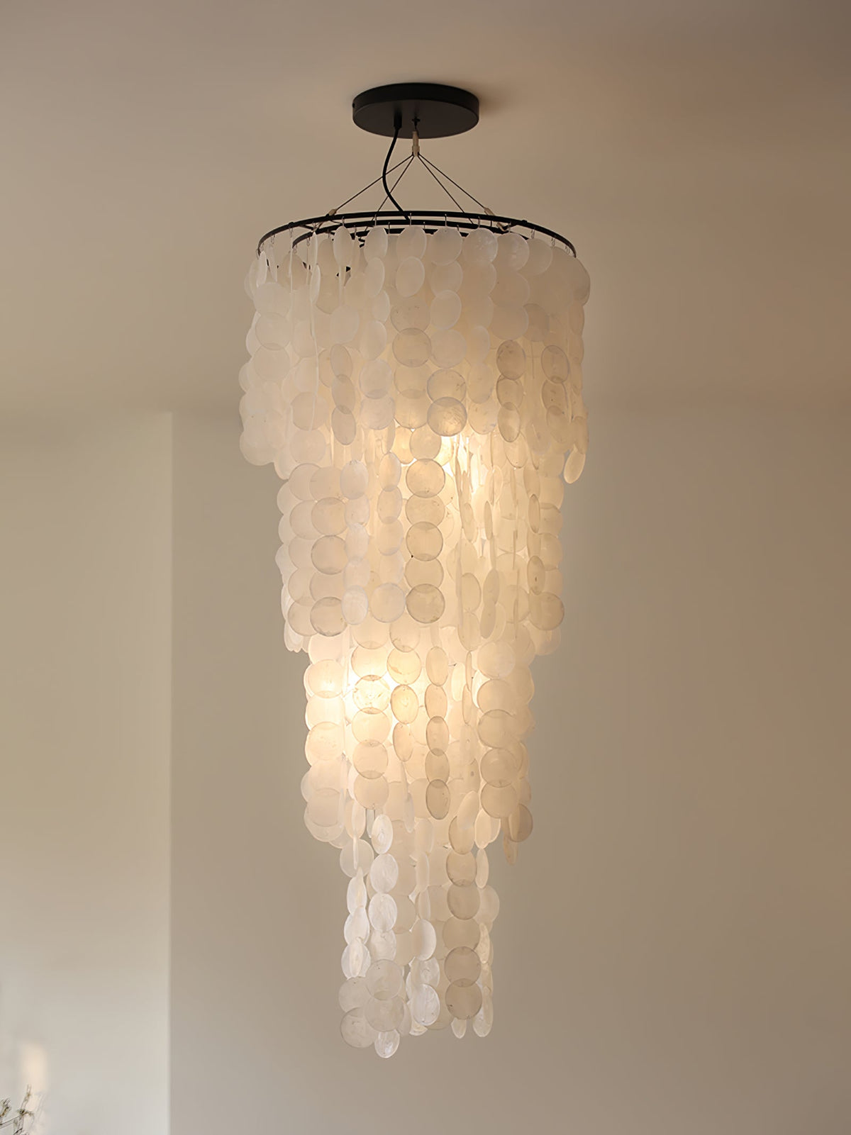 Nerida Shell Chandelier