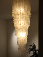 Nerida Shell Chandelier