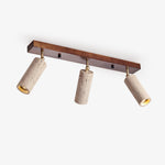 Nimbus Ceiling Spotlight