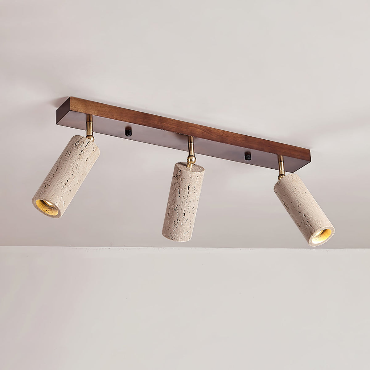 Nimbus Ceiling Spotlight