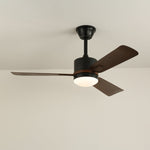 Nimora Ceiling Fan Light