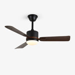 Nimora Ceiling Fan Light