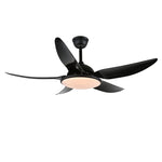 Noctura Ceiling Fan Light