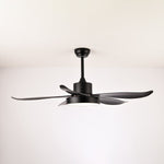 Noctura Glide Ceiling Fan Light