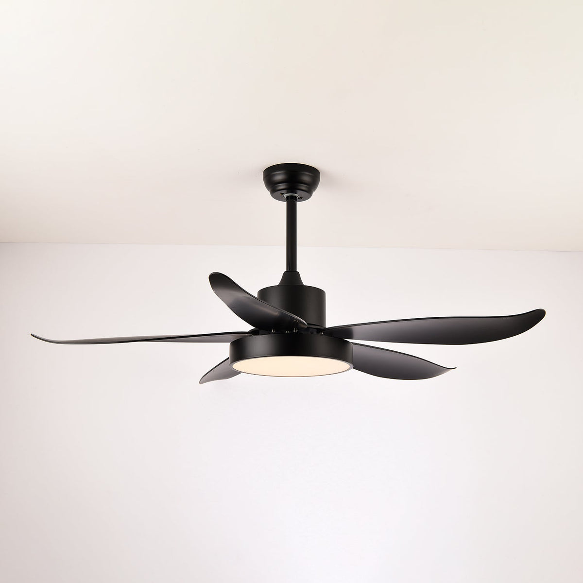 Noctura Glide Ceiling Fan Light