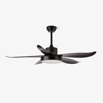 Noctura Glide Ceiling Fan Light