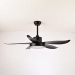 Noctura Glide Ceiling Fan Light