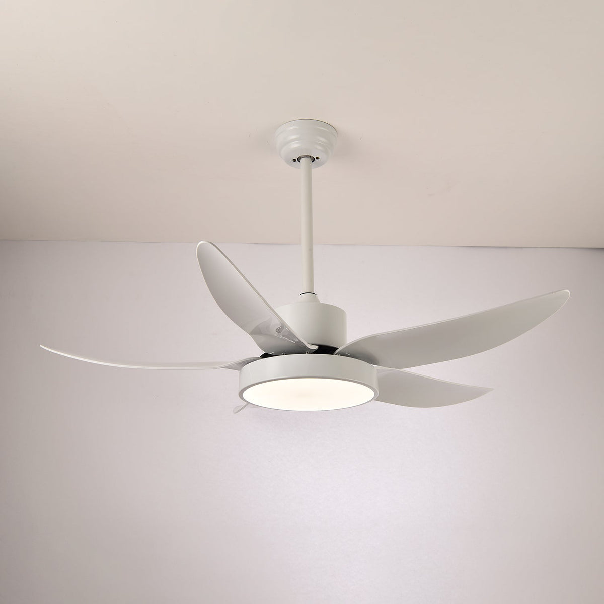 Noctura Glide Ceiling Fan Light