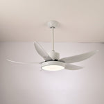 Noctura Glide Ceiling Fan Light