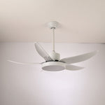 Noctura Glide Ceiling Fan Light