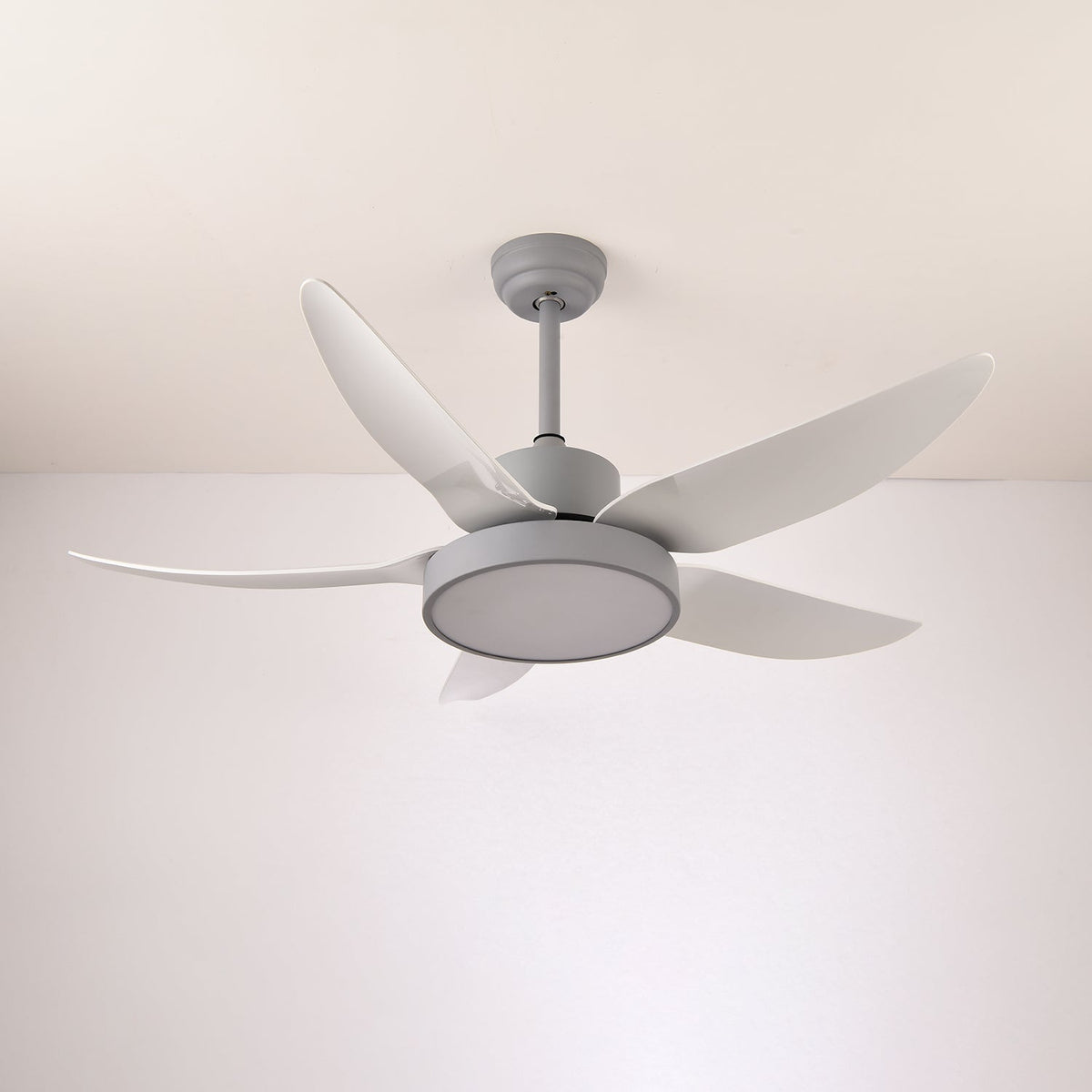 Noctura Glide Ceiling Fan Light