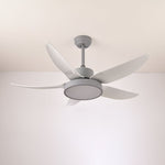 Noctura Glide Ceiling Fan Light