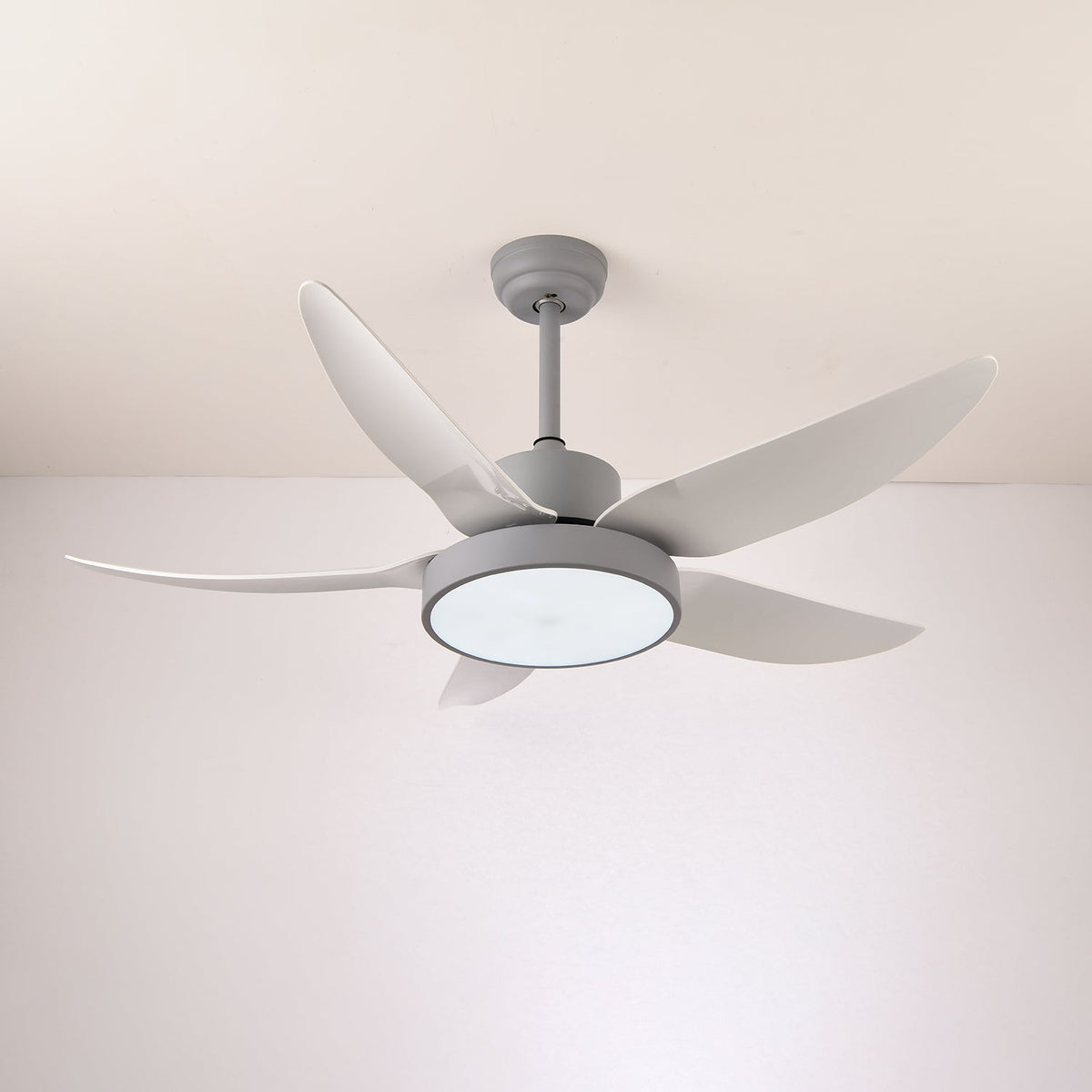 Noctura Glide Ceiling Fan Light
