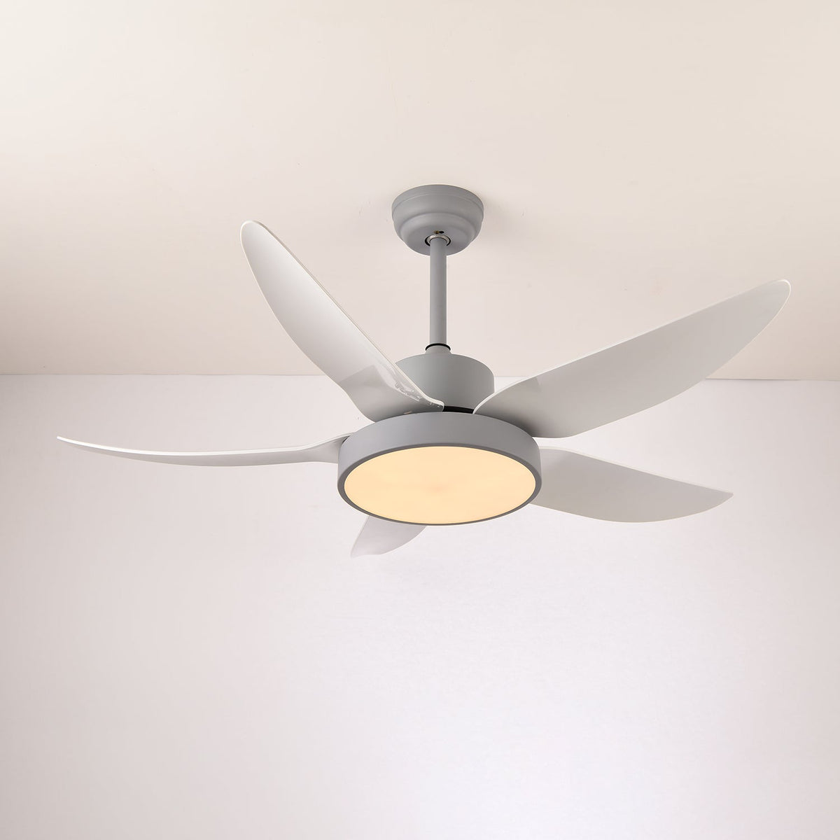 Noctura Glide Ceiling Fan Light