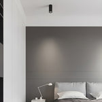 Oliver Tube Surface Downlight