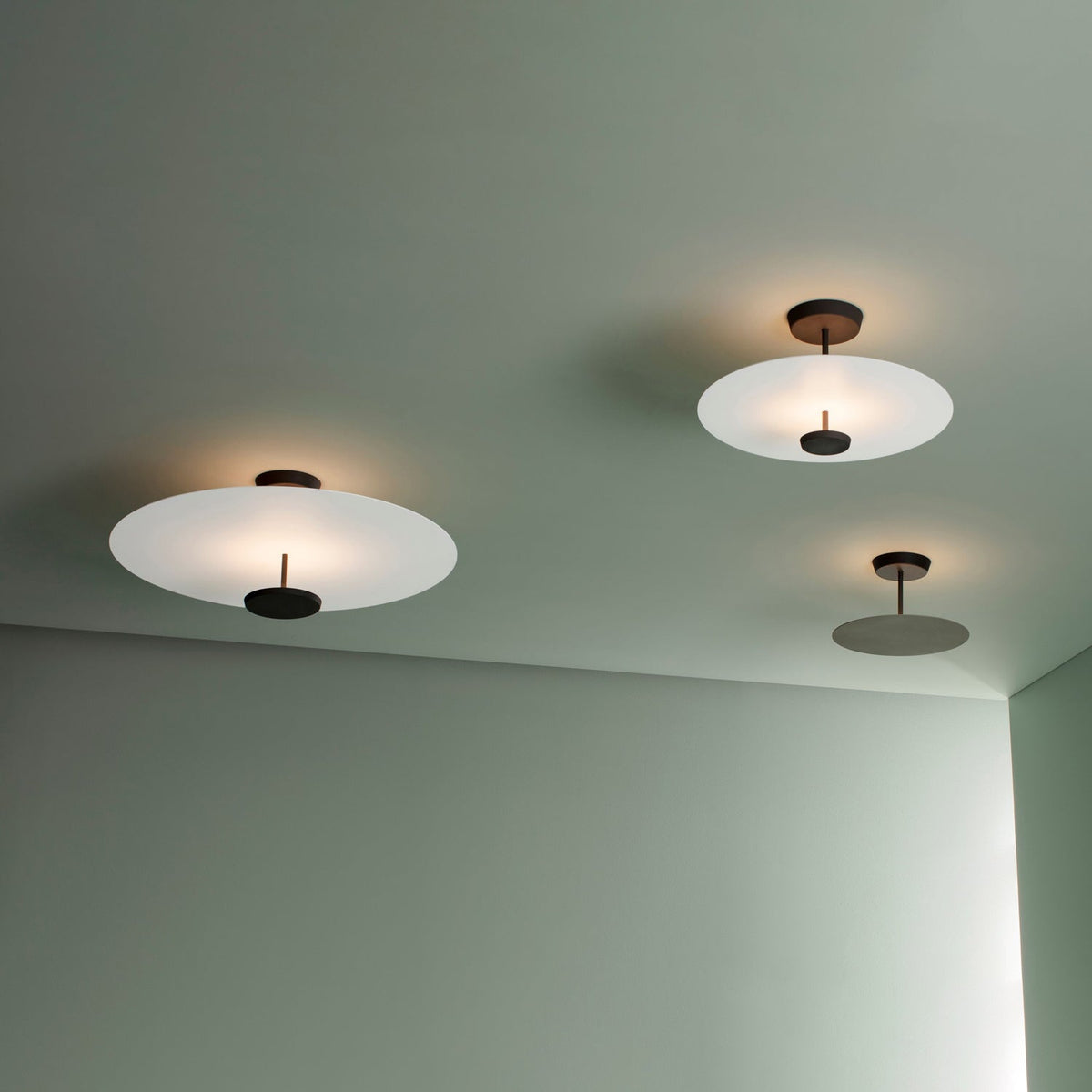 Omi Disc Ceiling Light