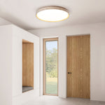 Oro Circle Ceiling Light