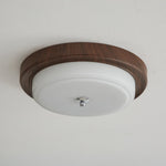Orvella Ceiling Light