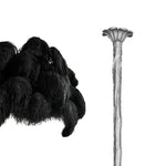Ostrich Feather Chandelier