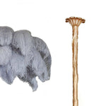 Ostrich Feather Chandelier