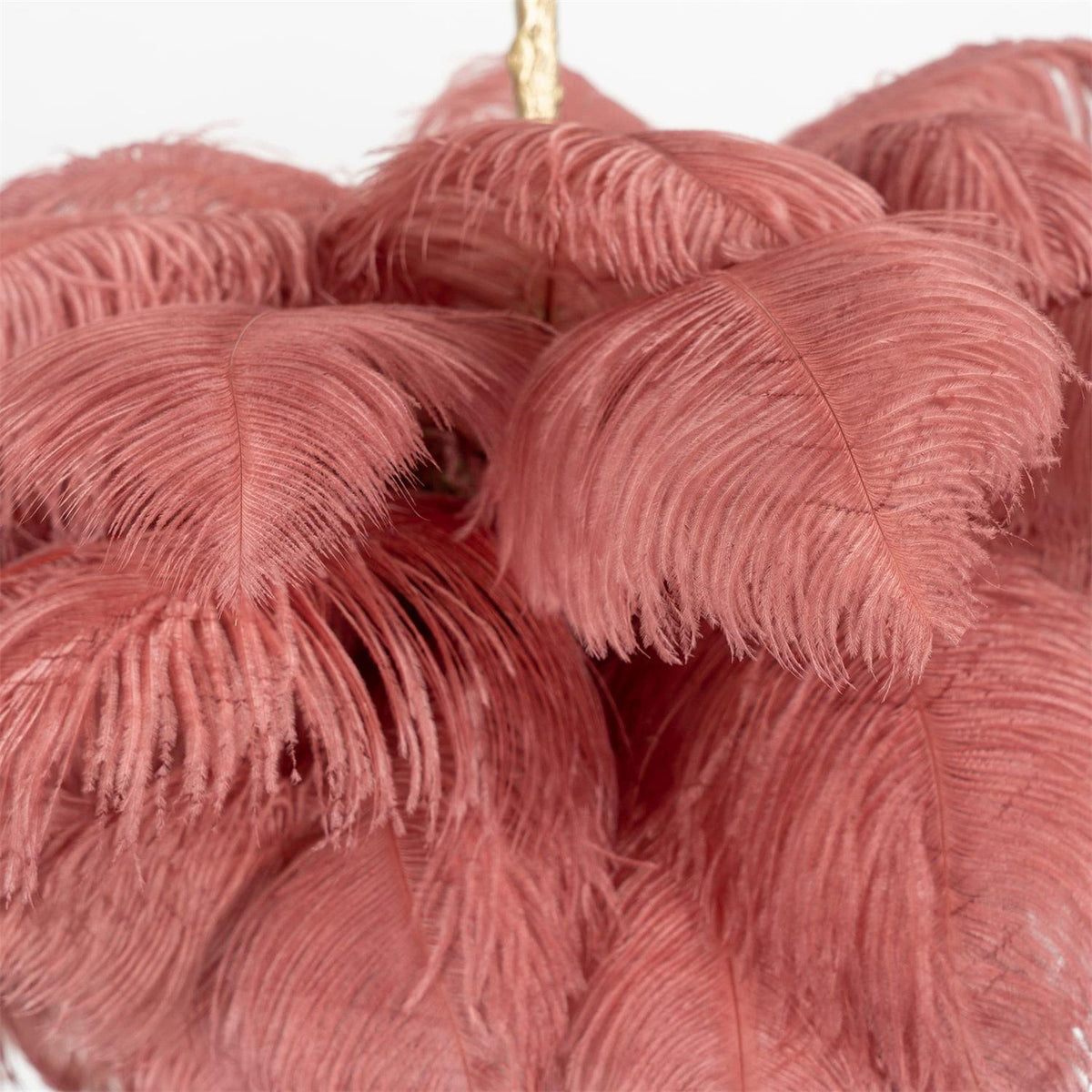 Ostrich Feather Chandelier