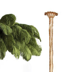 Ostrich Feather Chandelier