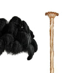 Ostrich Feather Chandelier