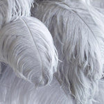 Ostrich Feather Table Lamp 29.5″