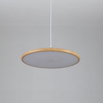 Ovalo Grain Pendant Light