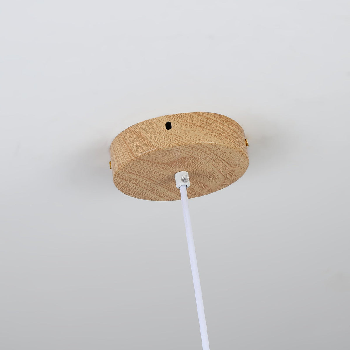 Ovalo Grain Pendant Light