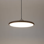 Ovalo Grain Pendant Light