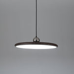 Ovalo Grain Pendant Light