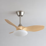 Zephira Ceiling Fan Light